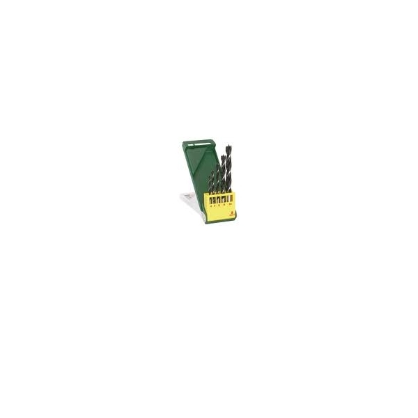 Set 5 burghie Bosch pentru lemn