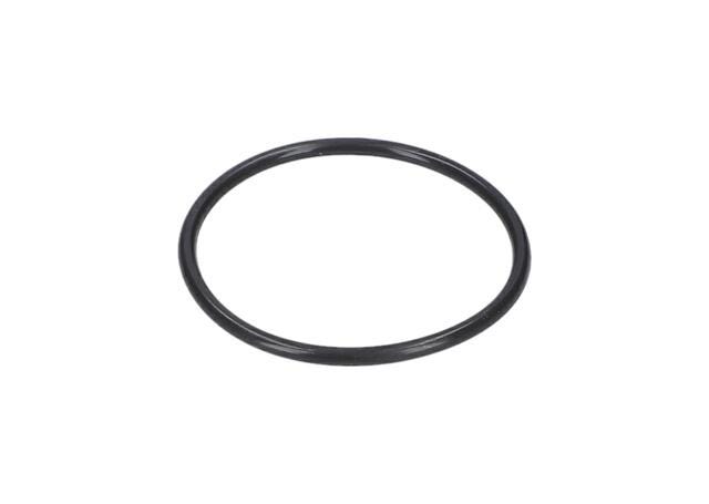 GARNITURA O 41x2,5 MM