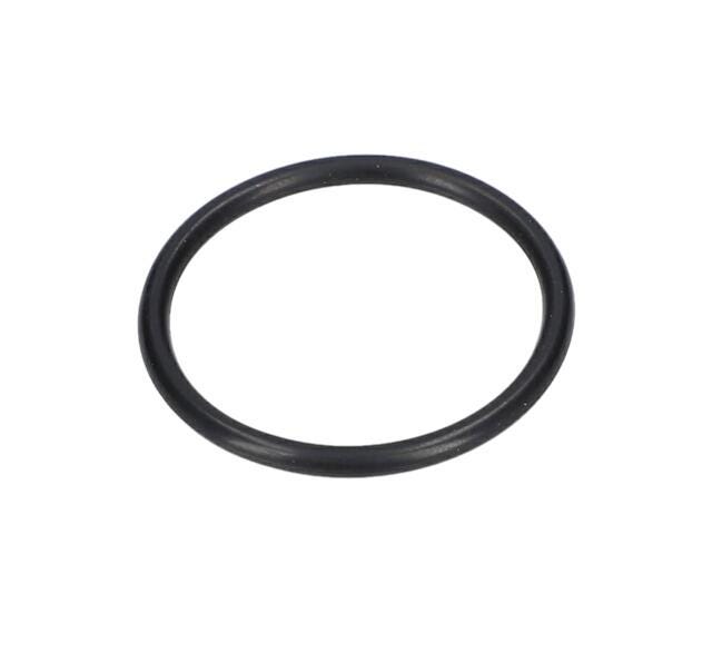 GARNITURA O 30x2,5 MM